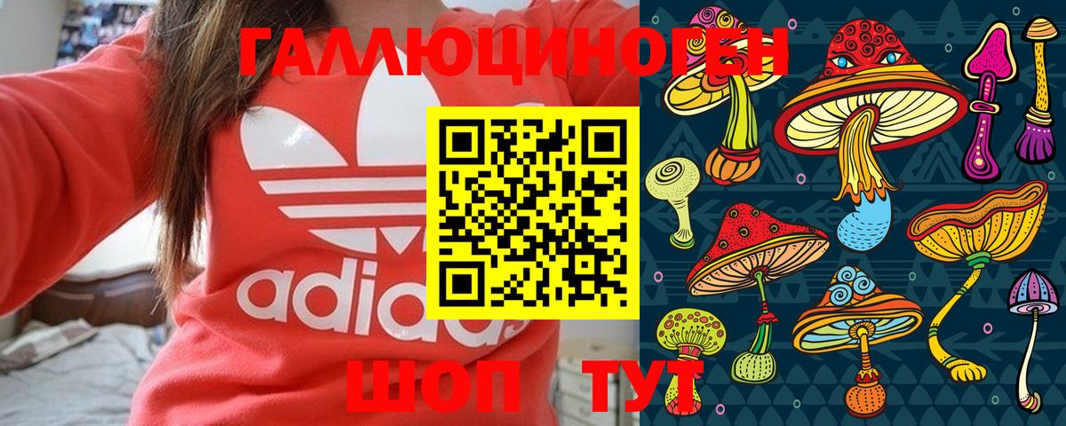 Галлюциногенные грибы Psilocybine cubensis Сургут