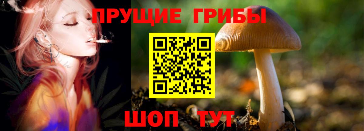 Сургут  Псилоцибиновые грибы ЛСД  Вход с VPN 